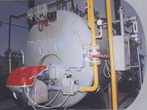 河南科技市场-4T天然气热水锅炉
